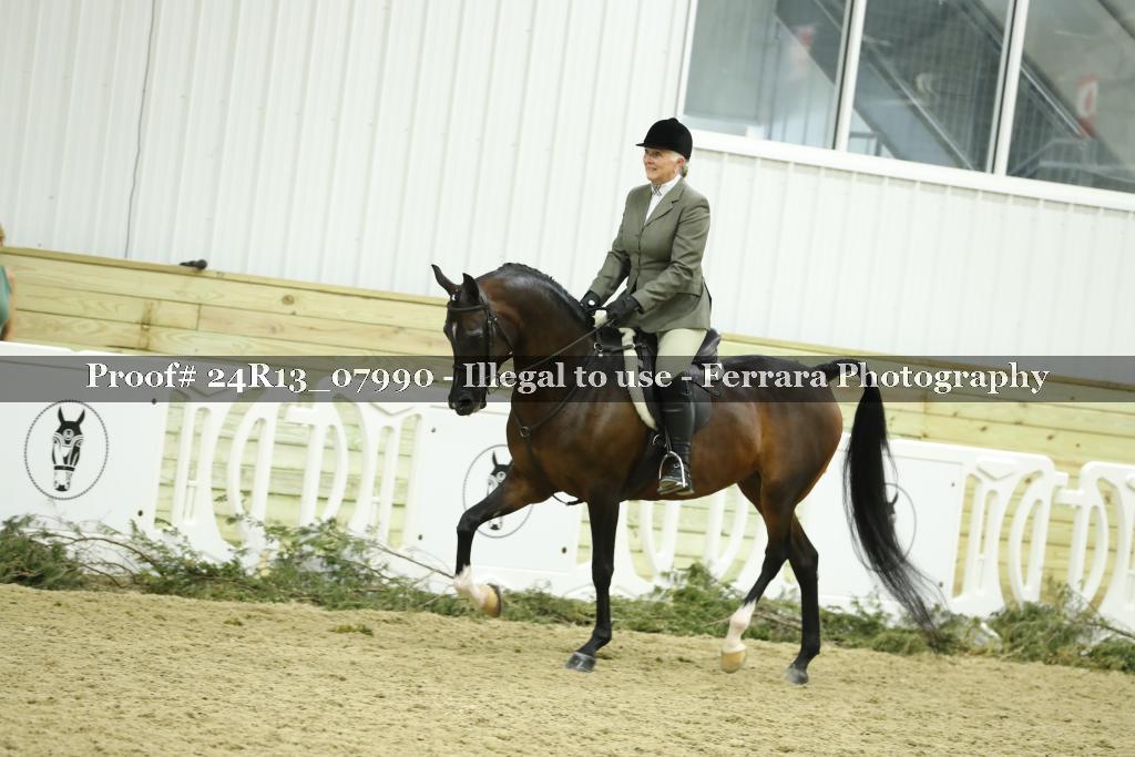 Proof 24R13_07990