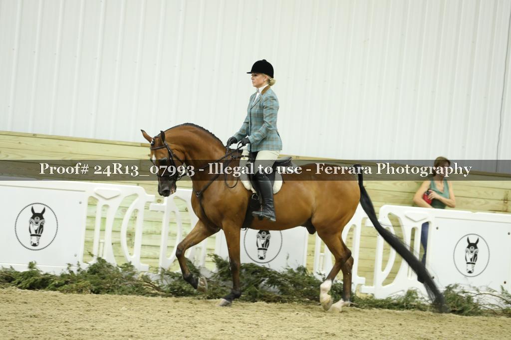 Proof 24R13_07993