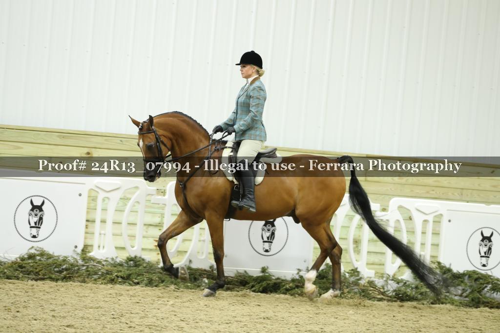Proof 24R13_07994