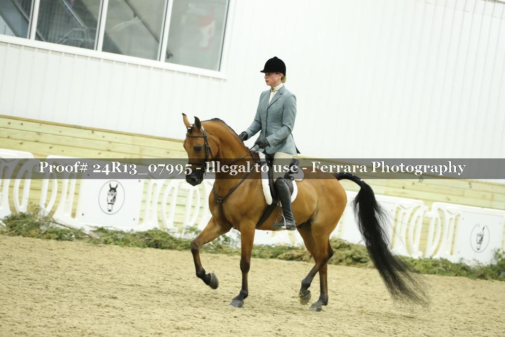 Proof 24R13_07995