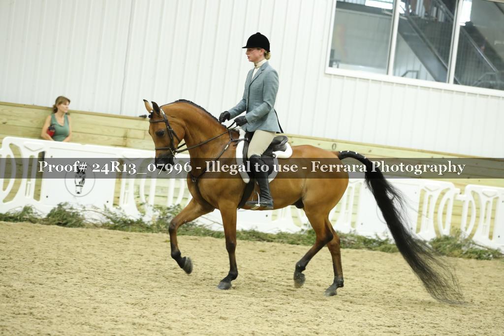 Proof 24R13_07996
