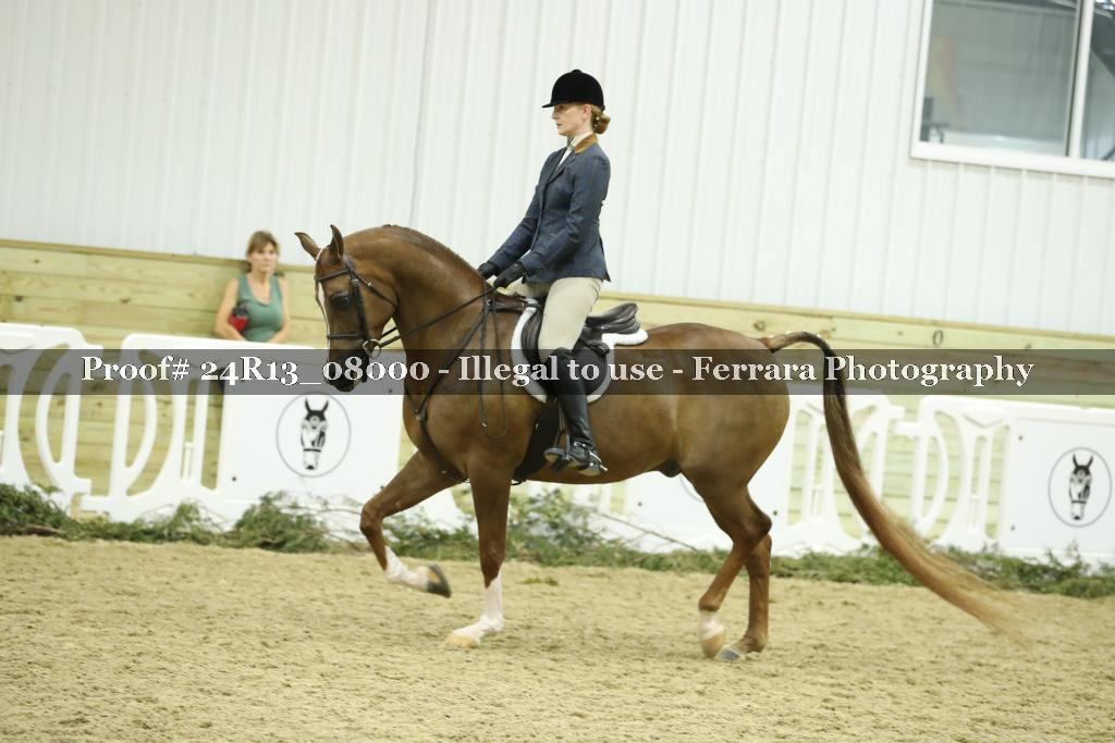 Proof 24R13_08000