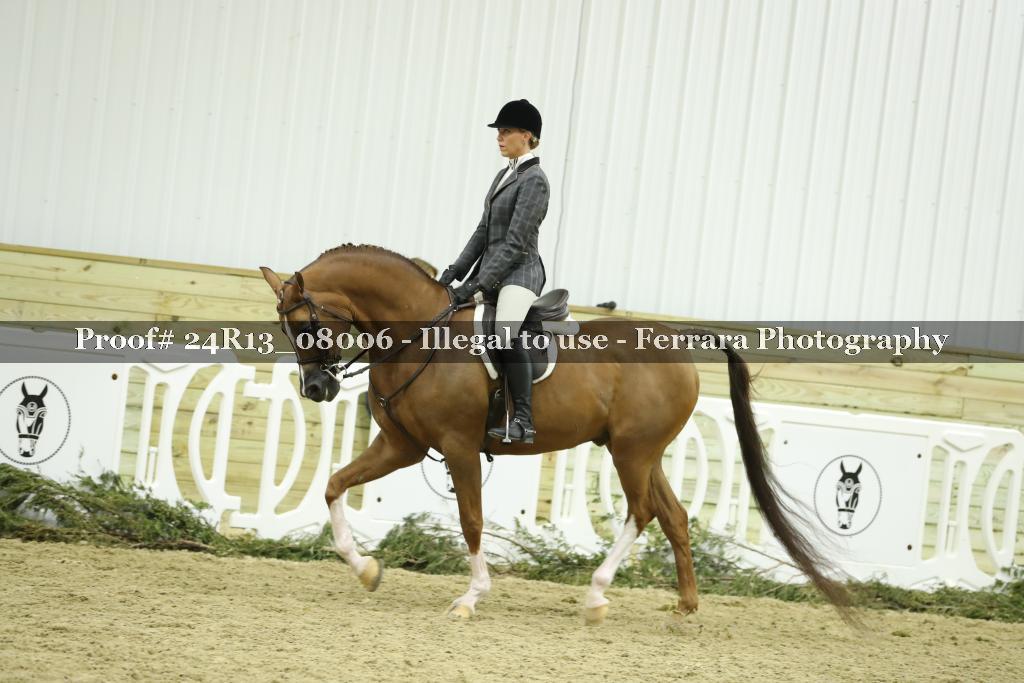 Proof 24R13_08006