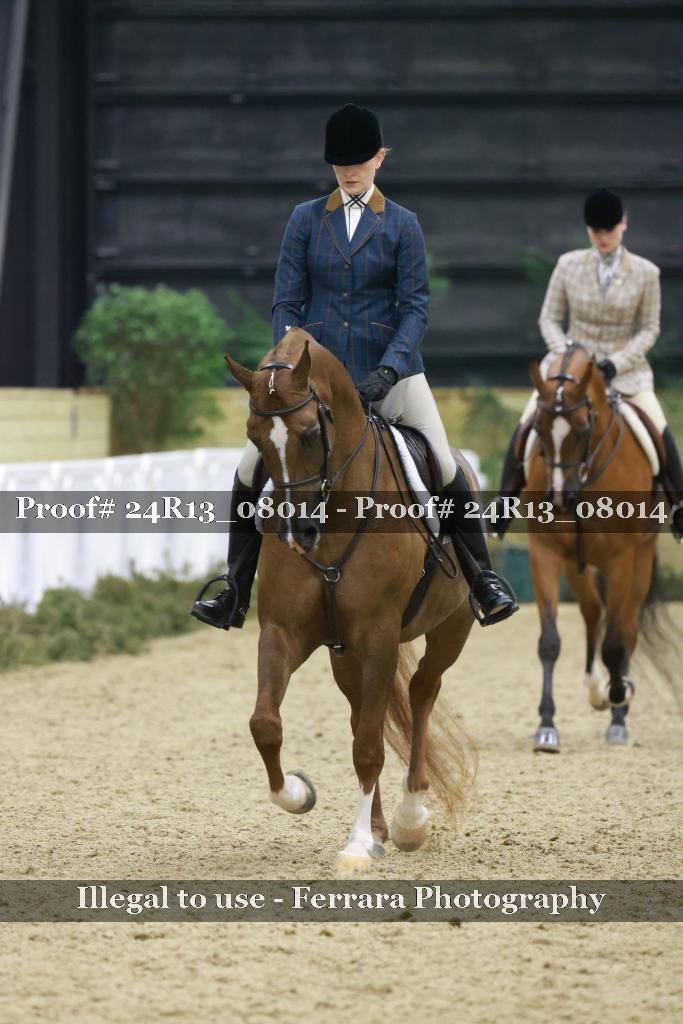 Proof 24R13_08014