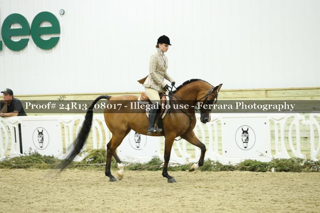 Proof 24R13_08017