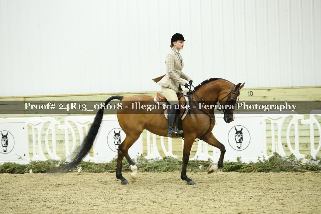 Proof 24R13_08018