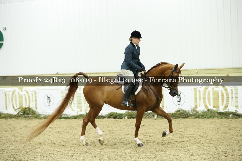 Proof 24R13_08019