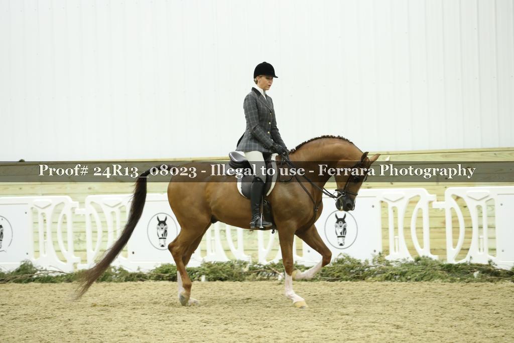 Proof 24R13_08023