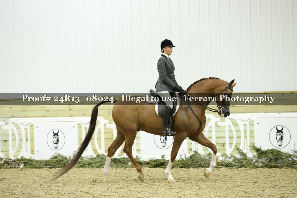 Proof 24R13_08024