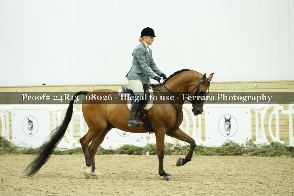 Proof 24R13_08026