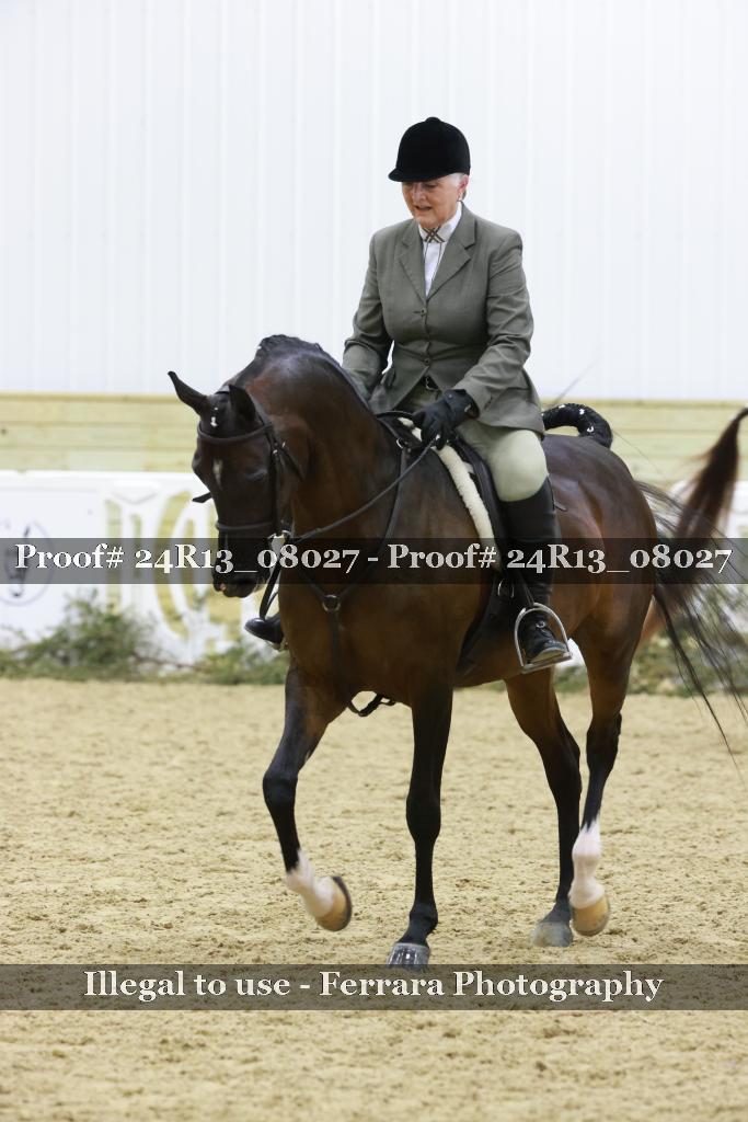 Proof 24R13_08027