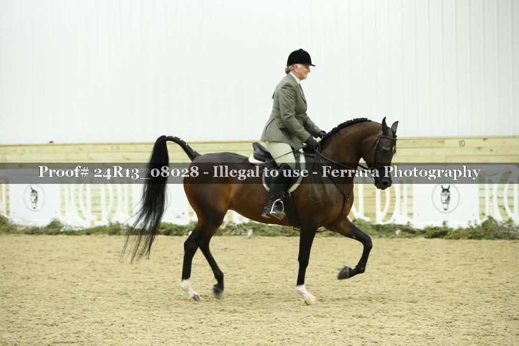 Proof 24R13_08028