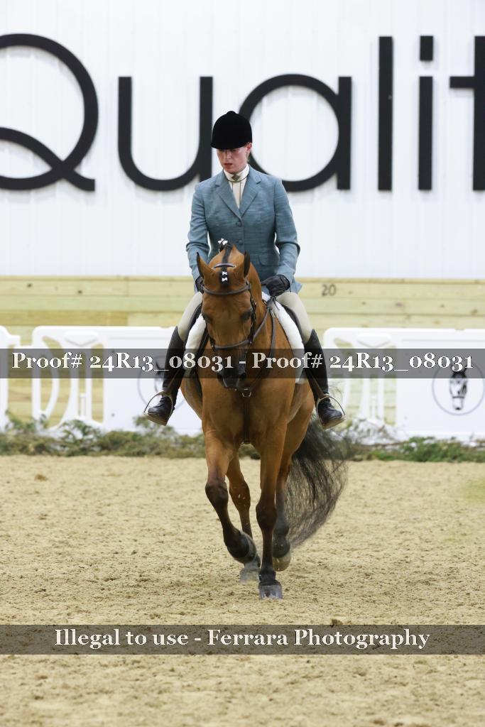 Proof 24R13_08031