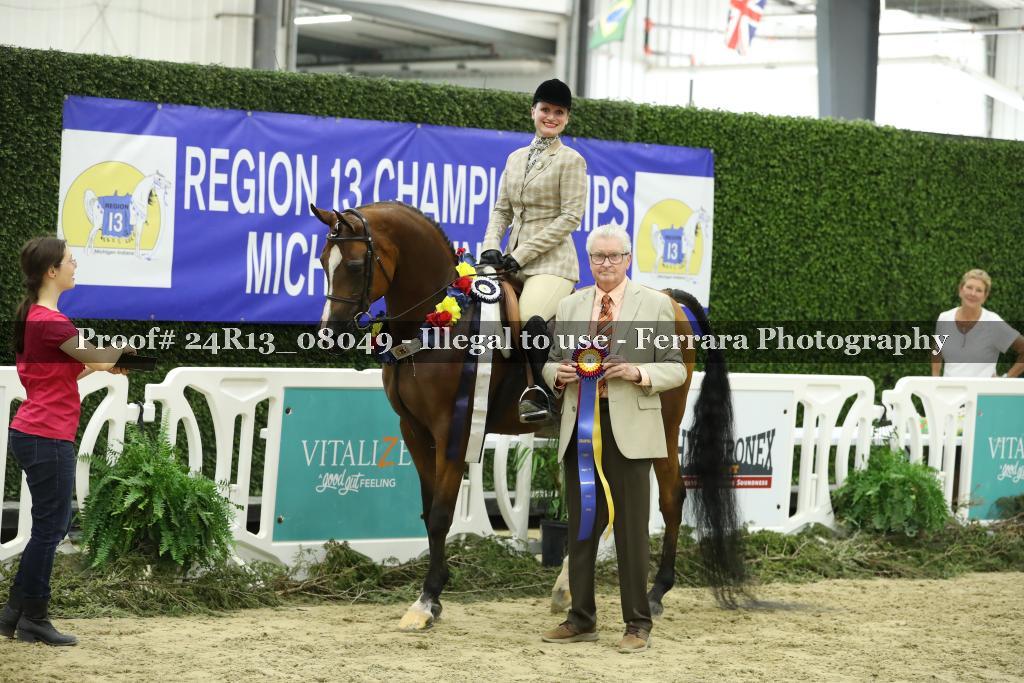 Proof 24R13_08049