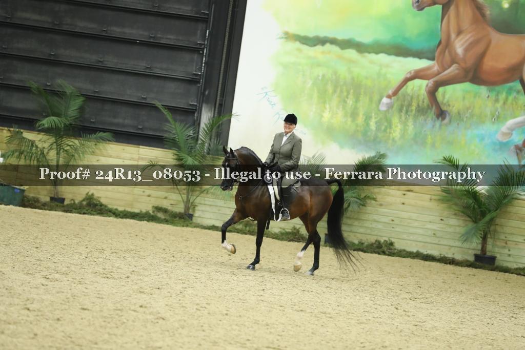 Proof 24R13_08053