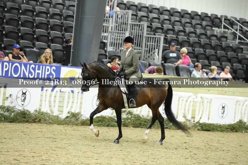 Proof 24R13_08056