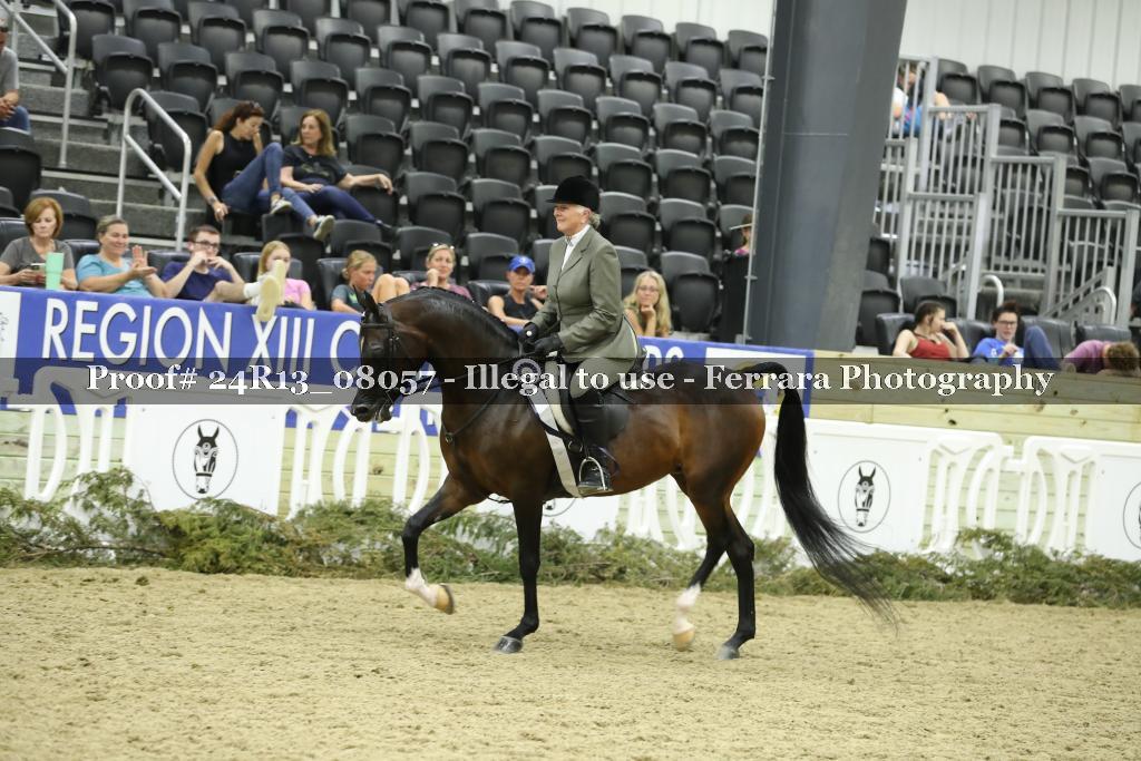 Proof 24R13_08057