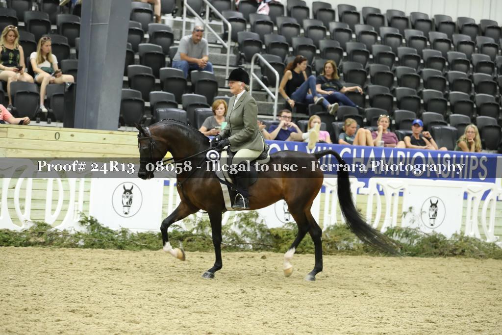 Proof 24R13_08058