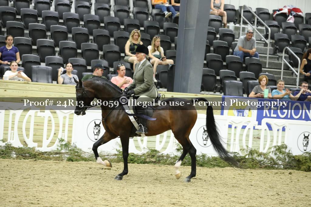 Proof 24R13_08059