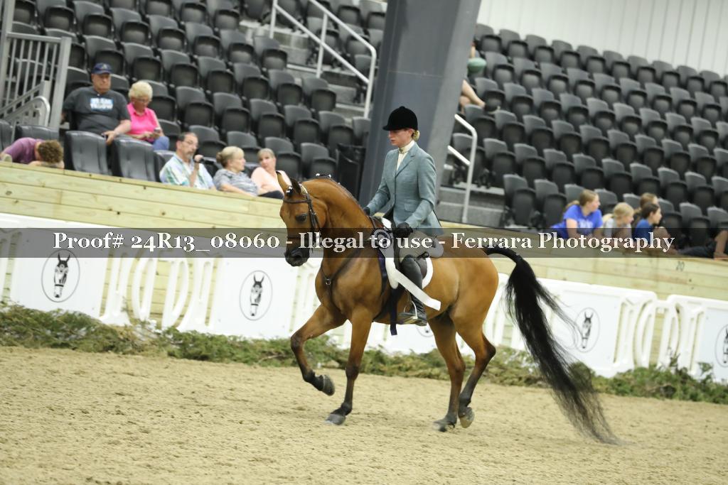 Proof 24R13_08060