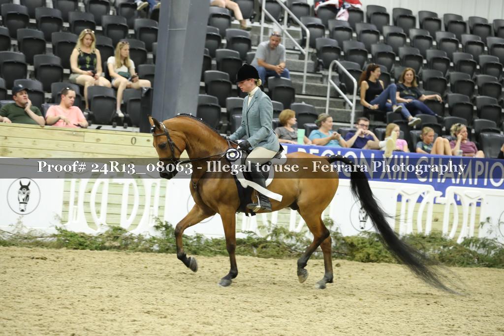 Proof 24R13_08063
