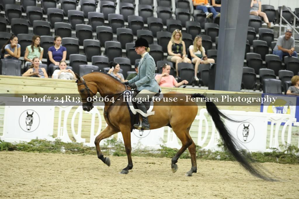 Proof 24R13_08064