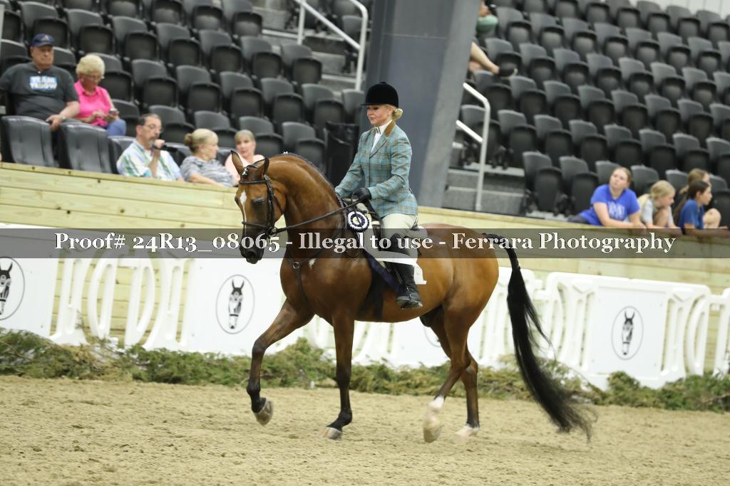 Proof 24R13_08065