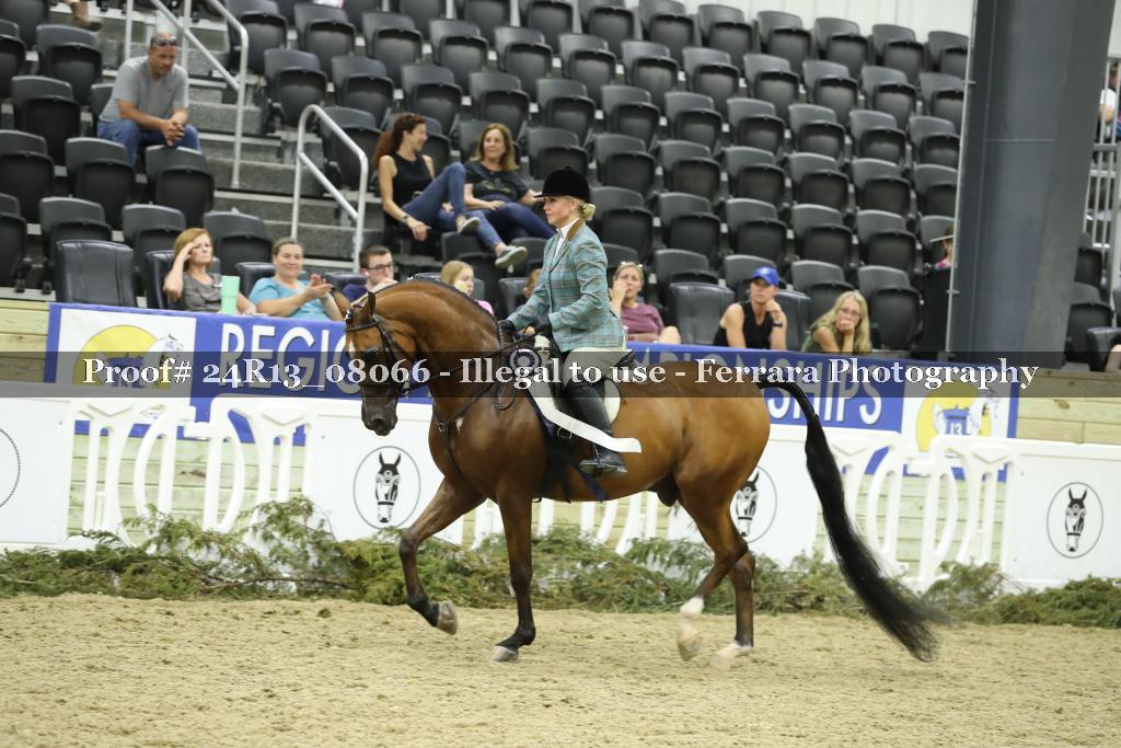 Proof 24R13_08066