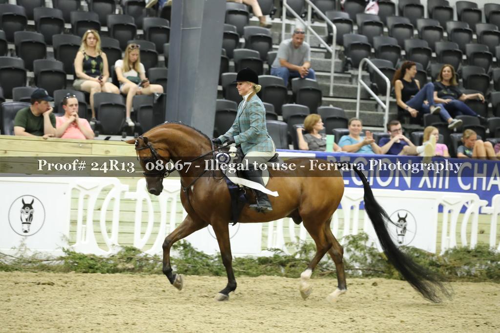 Proof 24R13_08067