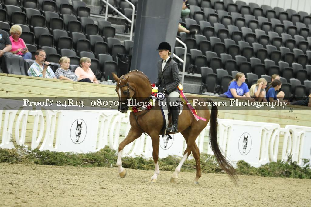 Proof 24R13_08070