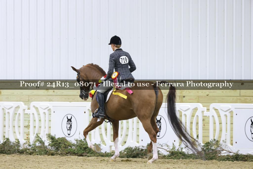 Proof 24R13_08071
