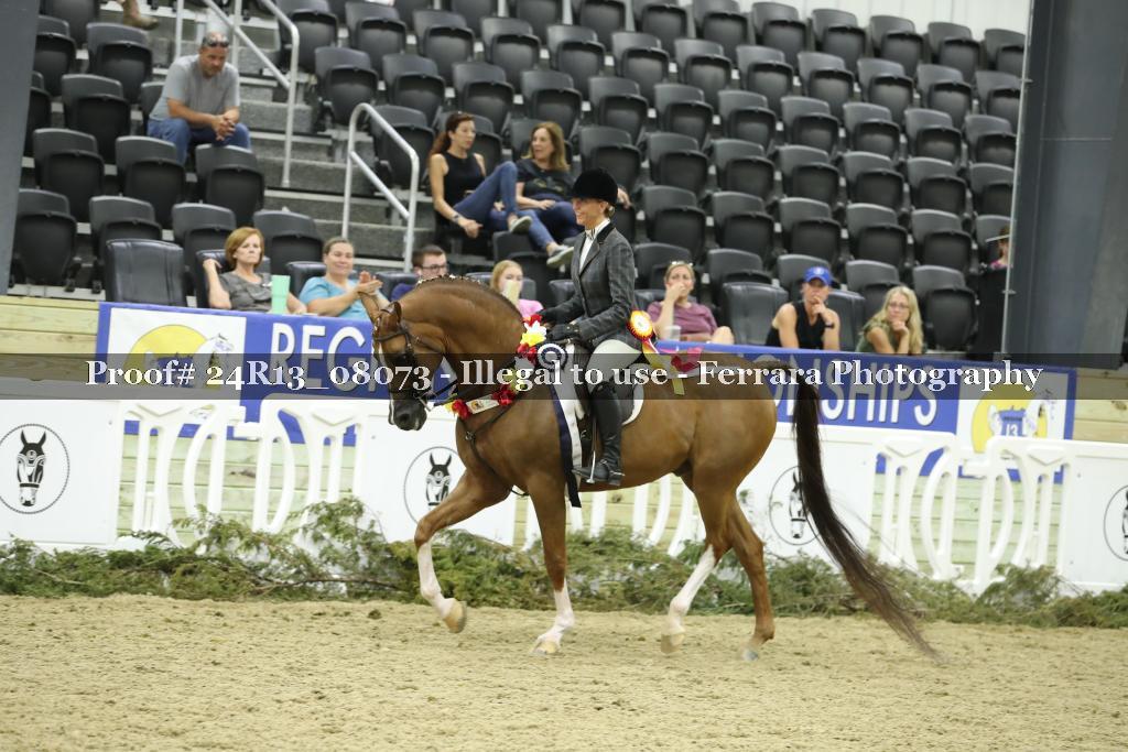 Proof 24R13_08073