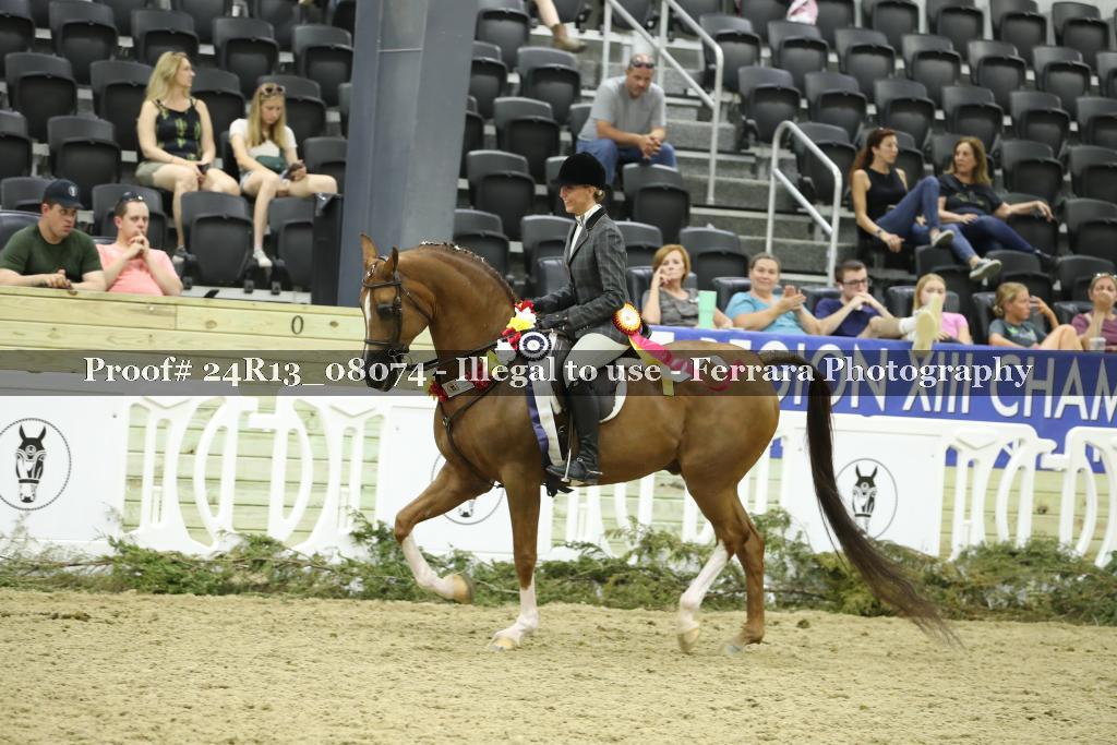 Proof 24R13_08074
