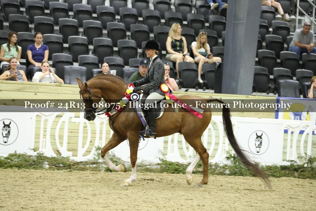 Proof 24R13_08075