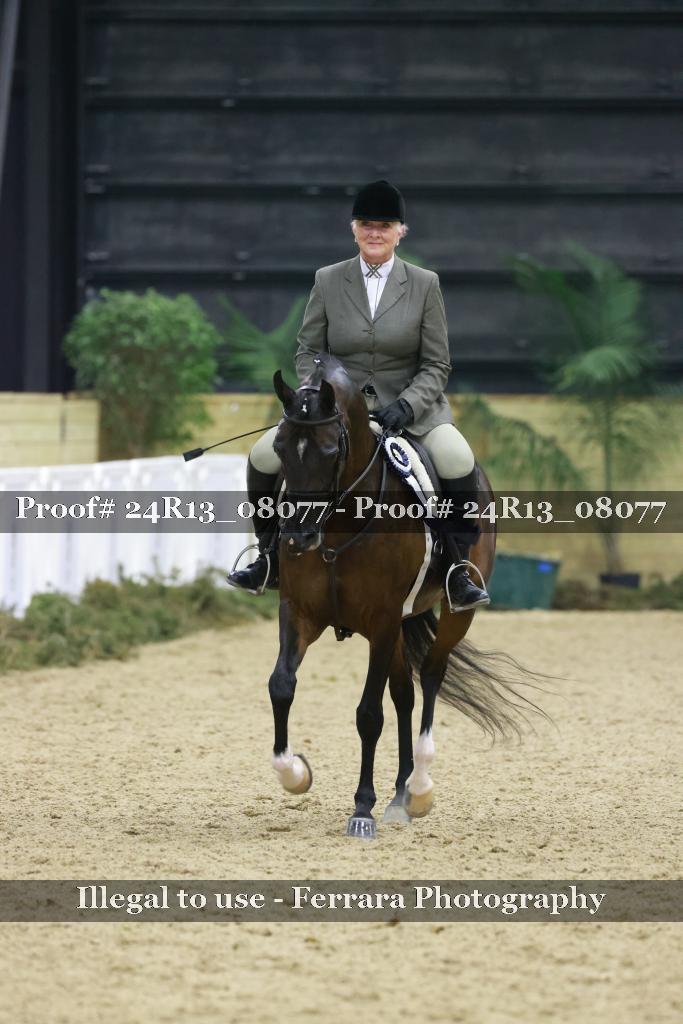 Proof 24R13_08077