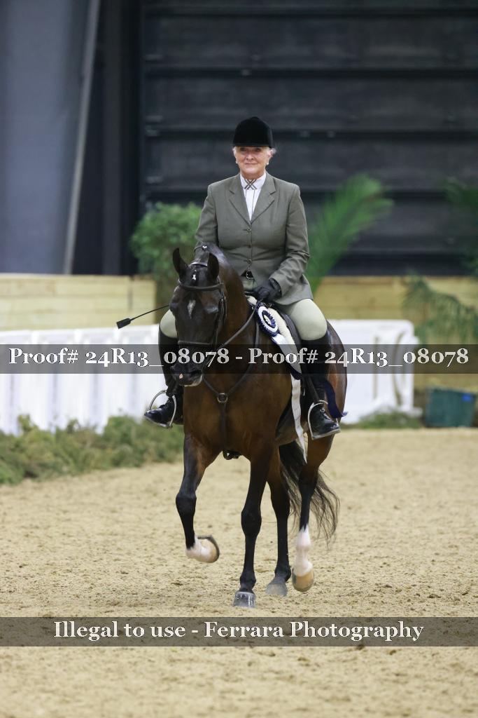 Proof 24R13_08078