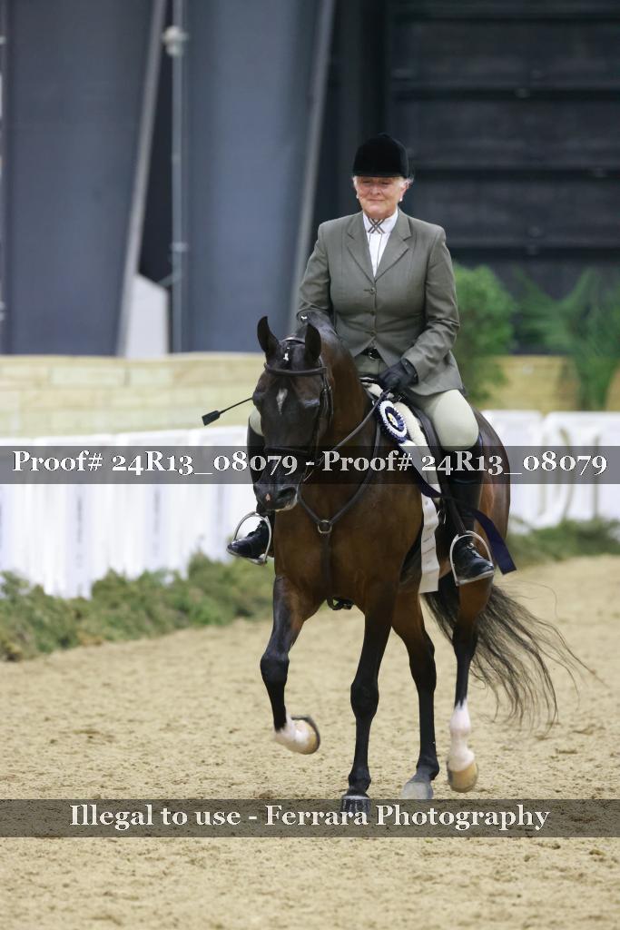 Proof 24R13_08079
