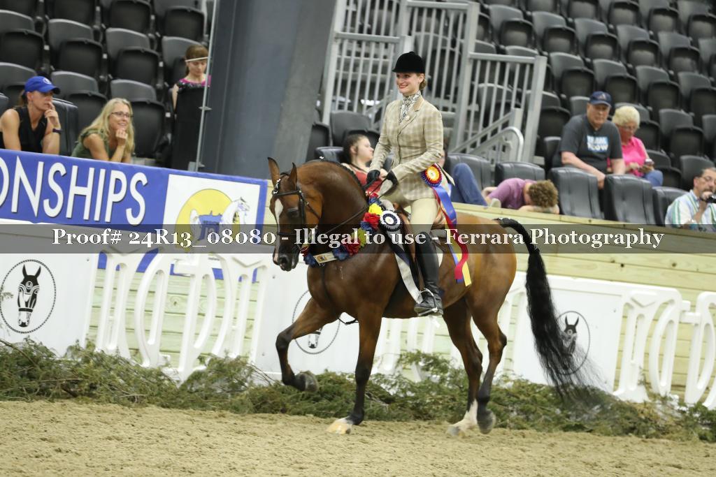 Proof 24R13_08080