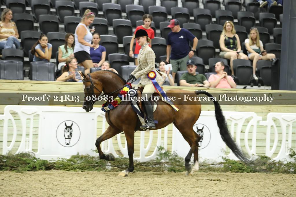 Proof 24R13_08083