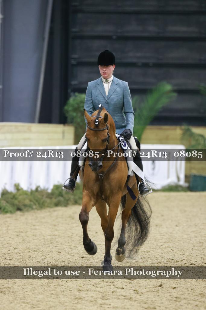 Proof 24R13_08085