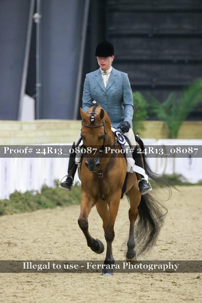 Proof 24R13_08087