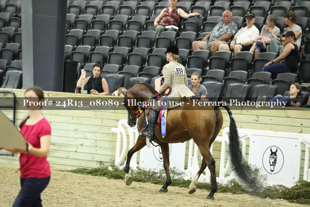 Proof 24R13_08089