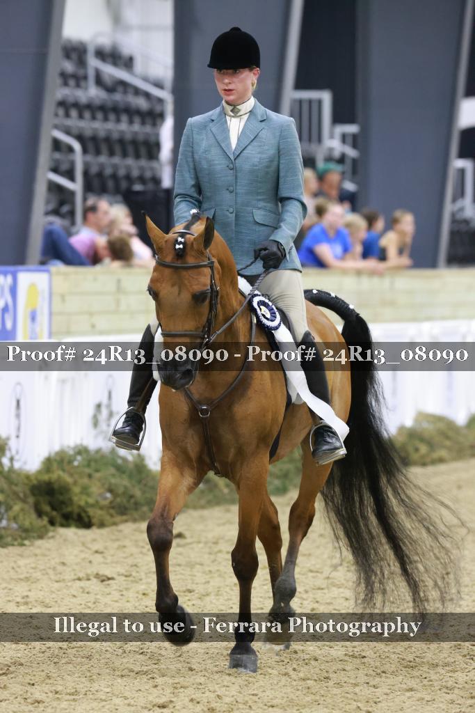 Proof 24R13_08090