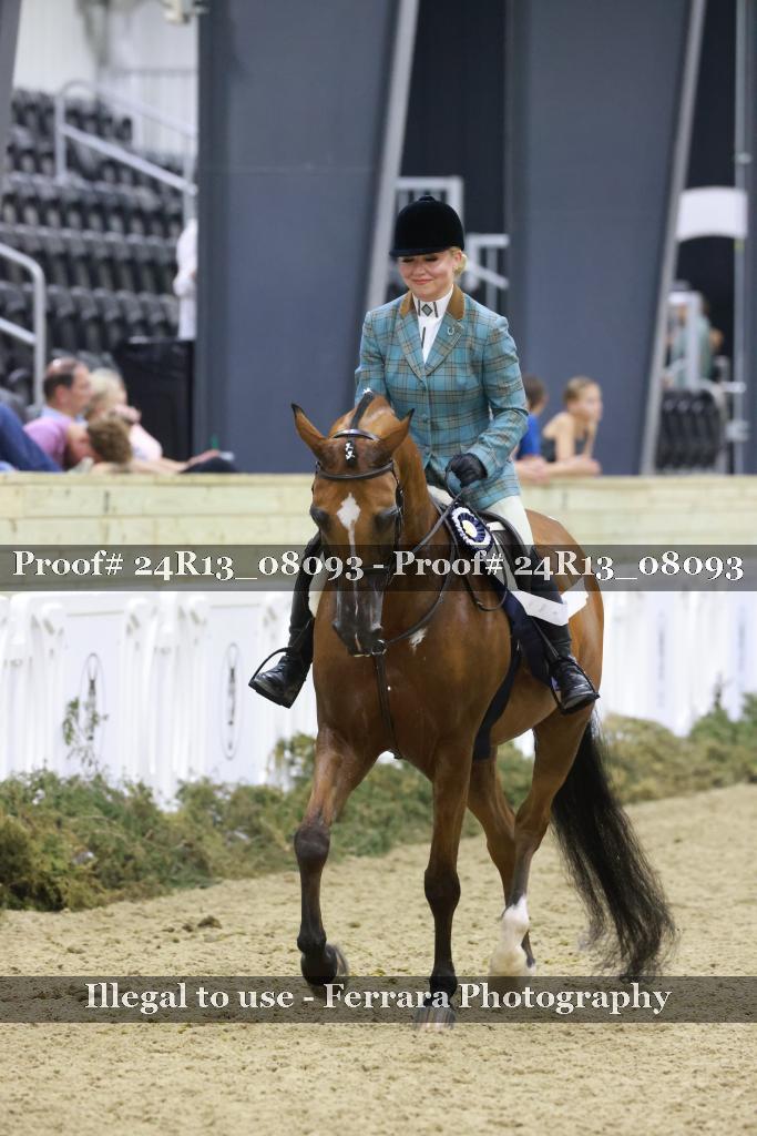 Proof 24R13_08093
