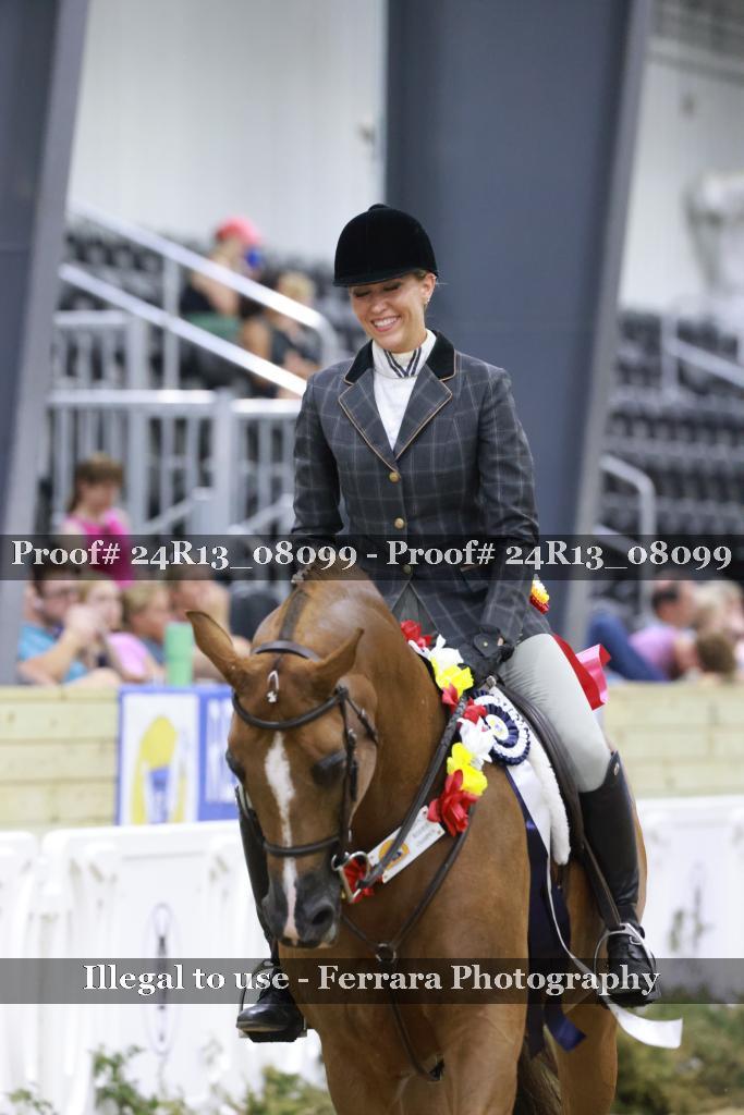 Proof 24R13_08099
