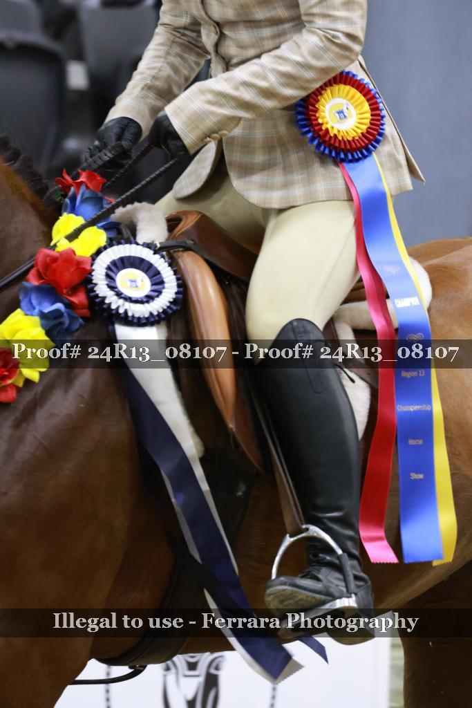 Proof 24R13_08107