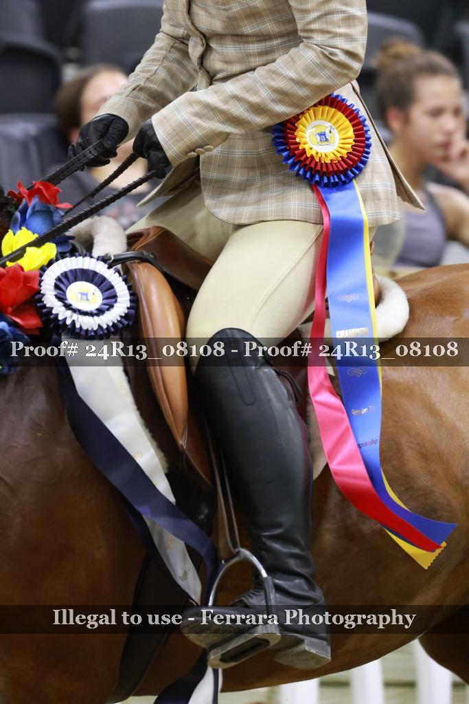 Proof 24R13_08108