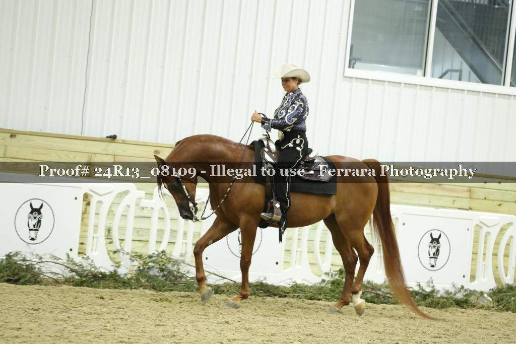 Proof 24R13_08109