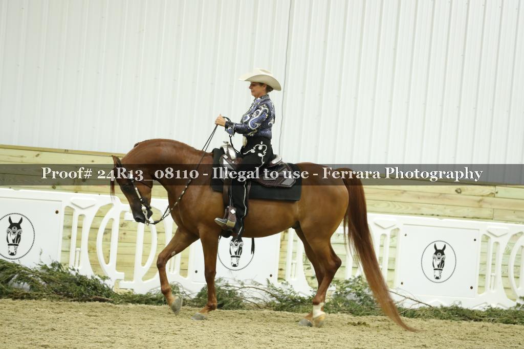 Proof 24R13_08110