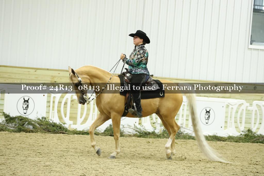 Proof 24R13_08113